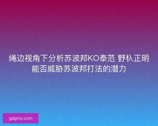 绳边视角下分析苏波邦KO泰范 野杁正明能否威胁苏波邦打法的潜力